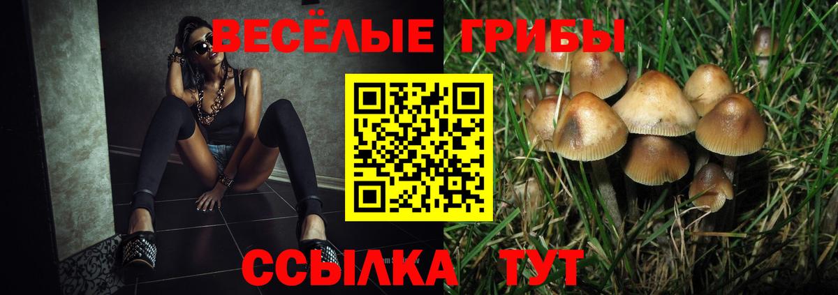 Псилоцибиновые грибы прущие грибы  Галлюциногенные грибы прущие грибы  Всеволожск  Вход с VPN 